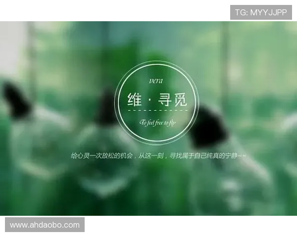 凯·帕克的经典朝八晚四：在快节奏生活中寻觅诗意与宁静